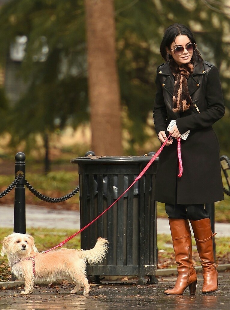 ヴァネッサ ハジェンズ Nyで犬のお散歩 大好き 海外セレブの最新画像